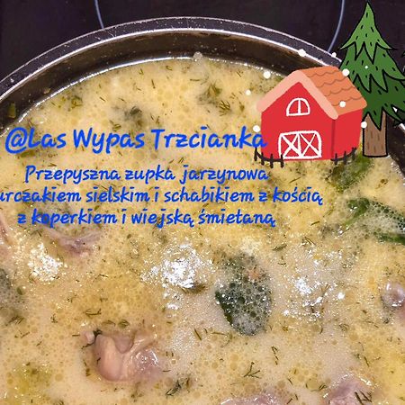 Noclegi "Las Wypas" Trzcianka Exterior photo